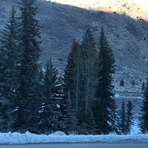 Meet your Posher, Alba